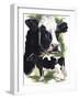 Holstein Cow-Barbara Keith-Framed Giclee Print