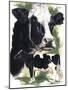 Holstein Cow-Barbara Keith-Mounted Giclee Print