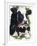 Holstein Cow-Barbara Keith-Framed Giclee Print