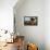 Holstein Cows Being Curious around Wooden Wagon and its Load of Gourds, Starks, Illinois, USA-Lynn M^ Stone-Framed Stretched Canvas displayed on a wall