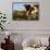 Holstein Cows Being Curious around Wooden Wagon and its Load of Gourds, Starks, Illinois, USA-Lynn M^ Stone-Framed Stretched Canvas displayed on a wall