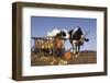 Holstein Cows Being Curious around Wooden Wagon and its Load of Gourds, Starks, Illinois, USA-Lynn M^ Stone-Framed Photographic Print