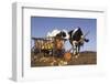 Holstein Cows Being Curious around Wooden Wagon and its Load of Gourds, Starks, Illinois, USA-Lynn M^ Stone-Framed Photographic Print
