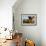 Holstein Cows Being Curious around Wooden Wagon and its Load of Gourds, Starks, Illinois, USA-Lynn M^ Stone-Framed Photographic Print displayed on a wall