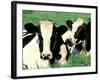 Holstein Cows in Field, VT-Lynn M^ Stone-Framed Photographic Print