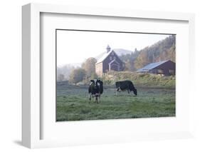 Holstein Cows in Front of Historic Dairy Barn and Cupola on at Liberty Hill Farm-Lynn M^ Stone-Framed Photographic Print