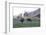 Holstein Cows in Front of Historic Dairy Barn and Cupola on at Liberty Hill Farm-Lynn M^ Stone-Framed Photographic Print