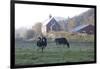 Holstein Cows in Front of Historic Dairy Barn and Cupola on at Liberty Hill Farm-Lynn M^ Stone-Framed Photographic Print