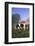 Holstein Cows in Green Pasture on Clear October Morning with Dairy Buildings in Distance, Granville-Lynn M^ Stone-Framed Photographic Print