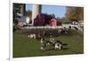 Holstein Cows in Meadow by Complex of Red Dairy Farm Buildings, Granville, New York, USA-Lynn M^ Stone-Framed Photographic Print