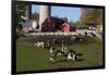 Holstein Cows in Meadow by Complex of Red Dairy Farm Buildings, Granville, New York, USA-Lynn M^ Stone-Framed Photographic Print