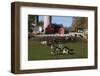 Holstein Cows in Meadow by Complex of Red Dairy Farm Buildings, Granville, New York, USA-Lynn M^ Stone-Framed Photographic Print