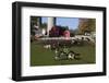 Holstein Cows in Meadow by Complex of Red Dairy Farm Buildings, Granville, New York, USA-Lynn M^ Stone-Framed Photographic Print