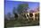 Holstein Cows in Pasture on Foggy, Autumn Morning, Granville, New York-Lynn M^ Stone-Stretched Canvas