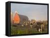 Holstein dairy cows outside a barn, Boyd, Wisconsin, USA-Chuck Haney-Framed Stretched Canvas