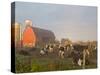 Holstein dairy cows outside a barn, Boyd, Wisconsin, USA-Chuck Haney-Stretched Canvas