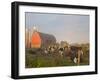 Holstein dairy cows outside a barn, Boyd, Wisconsin, USA-Chuck Haney-Framed Photographic Print