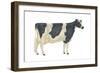 Holstein-Friesian Cow, Dairy Cattle, Mammals-Encyclopaedia Britannica-Framed Art Print