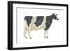 Holstein-Friesian Cow, Dairy Cattle, Mammals-Encyclopaedia Britannica-Framed Art Print