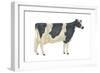 Holstein-Friesian Cow, Dairy Cattle, Mammals-Encyclopaedia Britannica-Framed Art Print