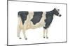 Holstein-Friesian Cow, Dairy Cattle, Mammals-Encyclopaedia Britannica-Mounted Art Print