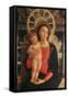 Holy Conversation, San Zeno Altarpiece-Andrea Mantegna-Framed Stretched Canvas