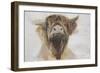 Holy Cow, 2016-Lou Gibbs-Framed Giclee Print