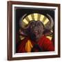 Holy Cow II-Lucia Heffernan-Framed Art Print