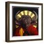 Holy Cow II-Lucia Heffernan-Framed Art Print