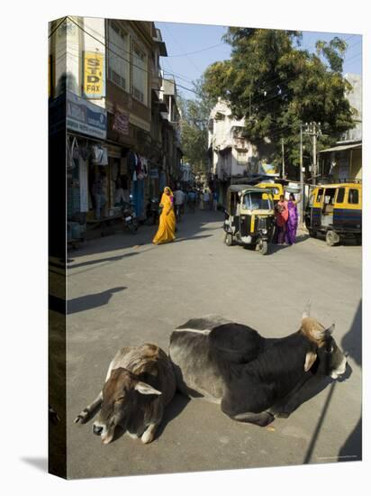 Holy Cows on Streets of Dungarpur, Rajasthan, India-Robert Harding-Stretched Canvas