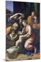 Holy Family (Known as the Great Holy Family of Francois I,), 1518-Raffael-Mounted Giclee Print