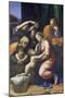 Holy Family (Known as the Great Holy Family of Francois I,), 1518-Raffael-Mounted Giclee Print