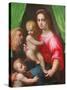 Holy Family (Oil on Canvas)-Domenico Puligo-Stretched Canvas