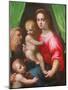 Holy Family (Oil on Canvas)-Domenico Puligo-Mounted Giclee Print