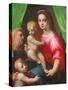 Holy Family (Oil on Canvas)-Domenico Puligo-Stretched Canvas