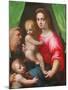 Holy Family (Oil on Canvas)-Domenico Puligo-Mounted Giclee Print