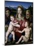 Holy Family with Saint Anne and John the Baptist-Agnolo Bronzino-Mounted Giclee Print