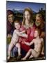 Holy Family with St. Anne and the Infant St. John the Baptist, circa 1550-Agnolo Bronzino-Mounted Giclee Print