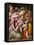 Holy Family with St. Catherine of Alexandria and the Infant St. John the Baptist, circa 1551-1556 (-Prospero Fontana-Framed Stretched Canvas