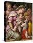 Holy Family with St. Catherine of Alexandria and the Infant St. John the Baptist, circa 1551-1556 (-Prospero Fontana-Stretched Canvas