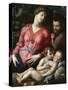 Holy Family with the Young Saint John-Agnolo Bronzino-Stretched Canvas