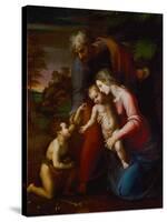 Holy Family with Young John Baptist-Raphael-Stretched Canvas