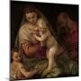 Holy Family with Young Saint John-Paolo Veronese-Mounted Art Print