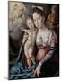 Holy Family-Jan Cornelisz Vermeyen-Mounted Art Print