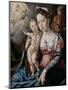 Holy Family-Jan Cornelisz Vermeyen-Mounted Art Print