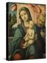 Holy Family-Lorenzo Costa-Stretched Canvas