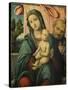 Holy Family-Lorenzo Costa-Stretched Canvas