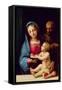 Holy Family-Giulio Romano-Framed Stretched Canvas