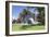 Holy Trinity Cathedral, Parnell, Auckland, North Island, New Zealand, Pacific-Ian-Framed Photographic Print