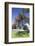 Holy Trinity Cathedral, Parnell, Auckland, North Island, New Zealand, Pacific-Ian-Framed Photographic Print